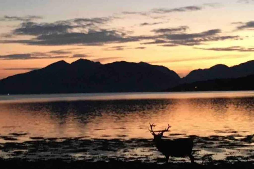 The Fox'S Den, Luxury Cosy Mini Lodge, Highlands North Ballachulish Dış mekan fotoğraf
