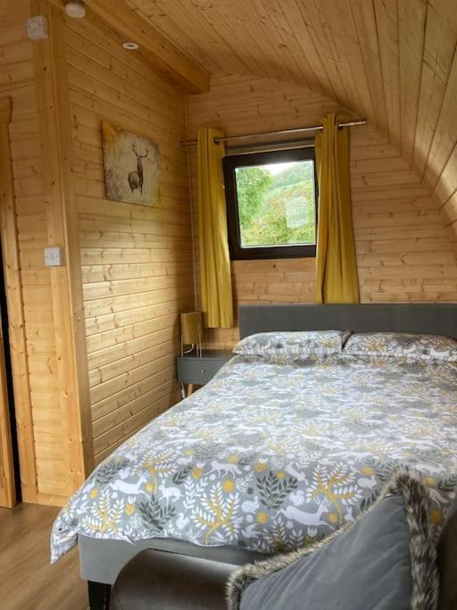 The Fox'S Den, Luxury Cosy Mini Lodge, Highlands North Ballachulish Dış mekan fotoğraf