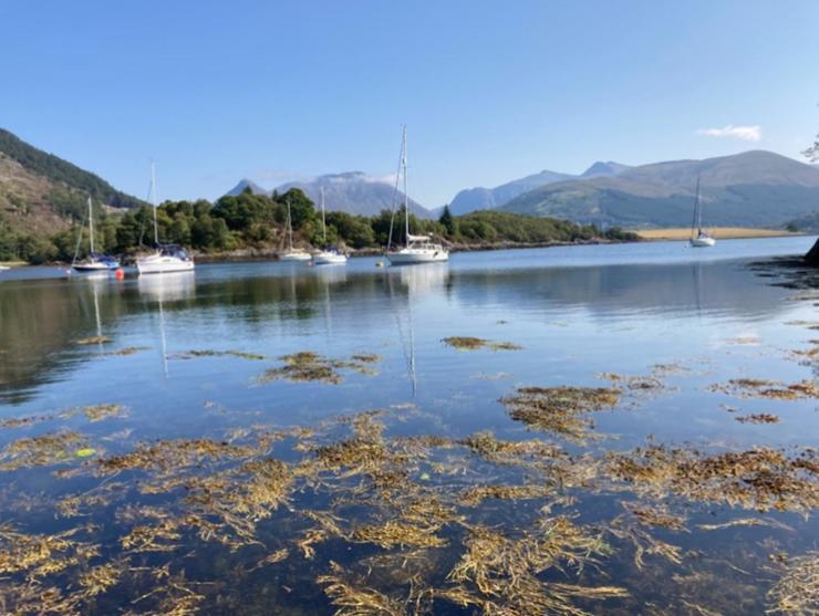 The Fox'S Den, Luxury Cosy Mini Lodge, Highlands North Ballachulish Dış mekan fotoğraf